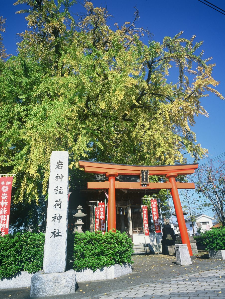 岩神稲荷神社の境内にある巨岩「岩神の飛石」の写真